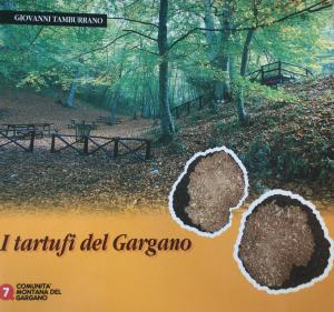 I tartufi del Gargano